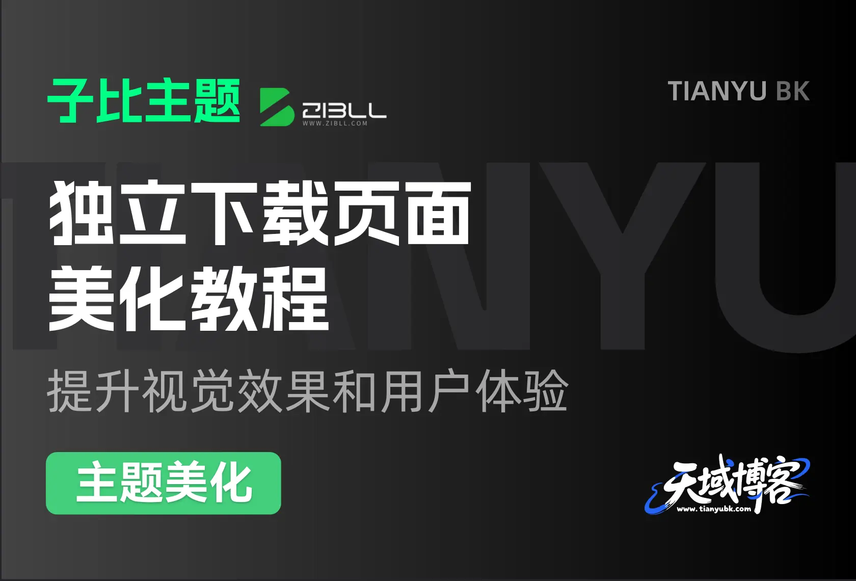 子比主题 独立下载页面美化教程-天域博客