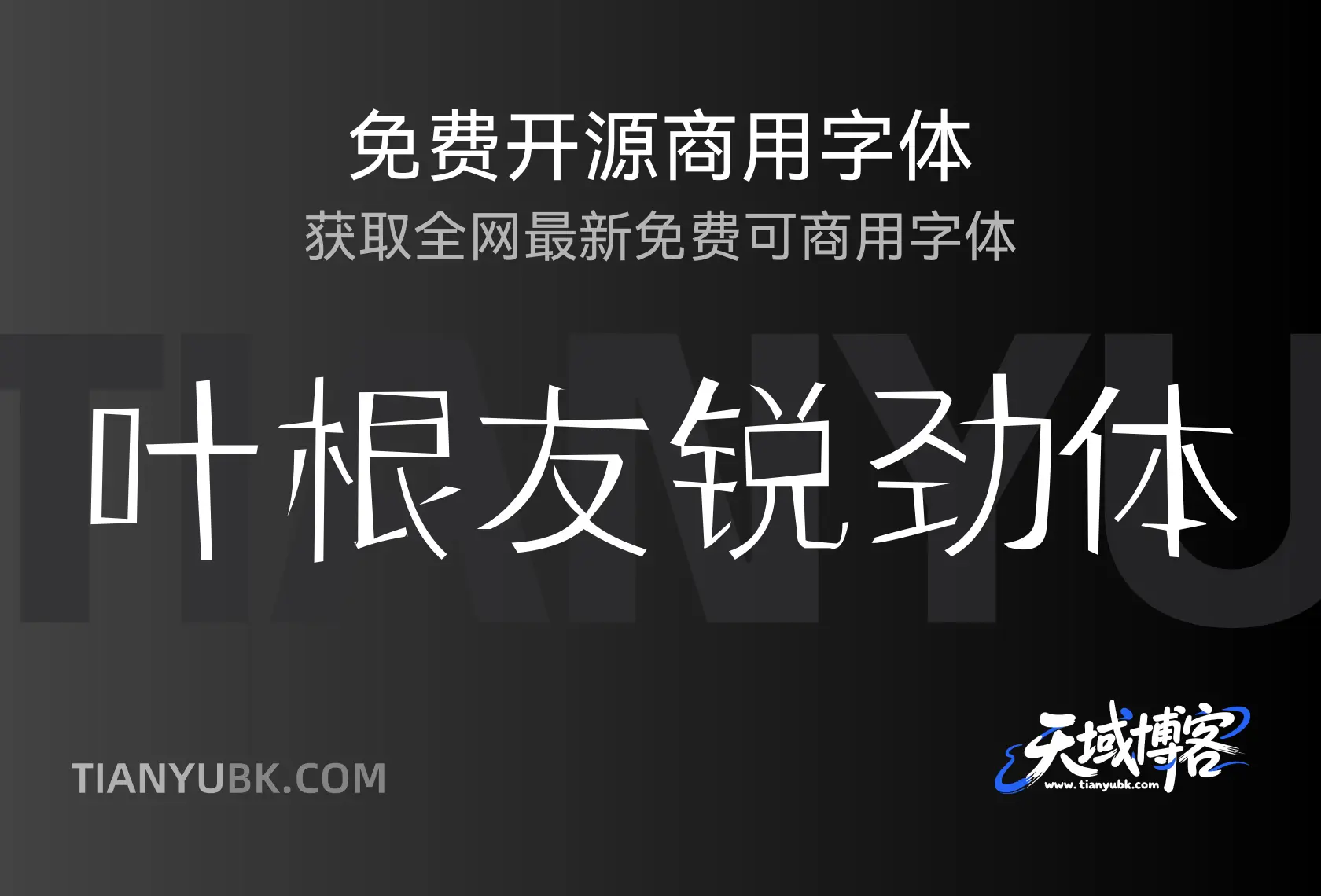 叶根友锐劲体:刚劲风格彰显独特魅力-天域博客